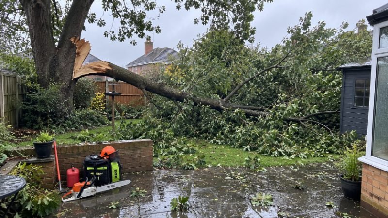 Emergency Tree Service services in Portsmouth, Portsmouth